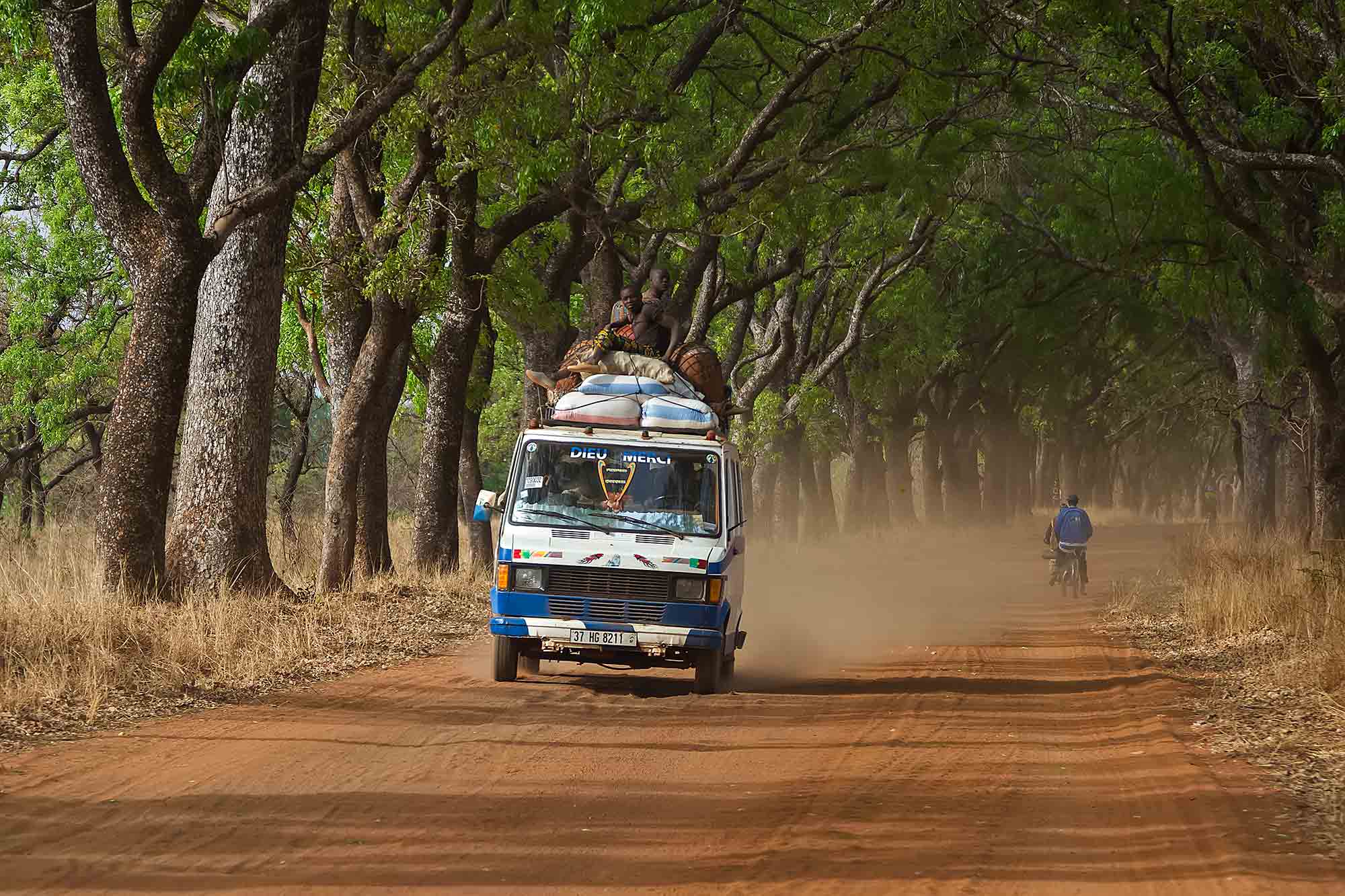 bush-taxi-driving-through-alley-of-trees-banfora-burkina-faso-africa