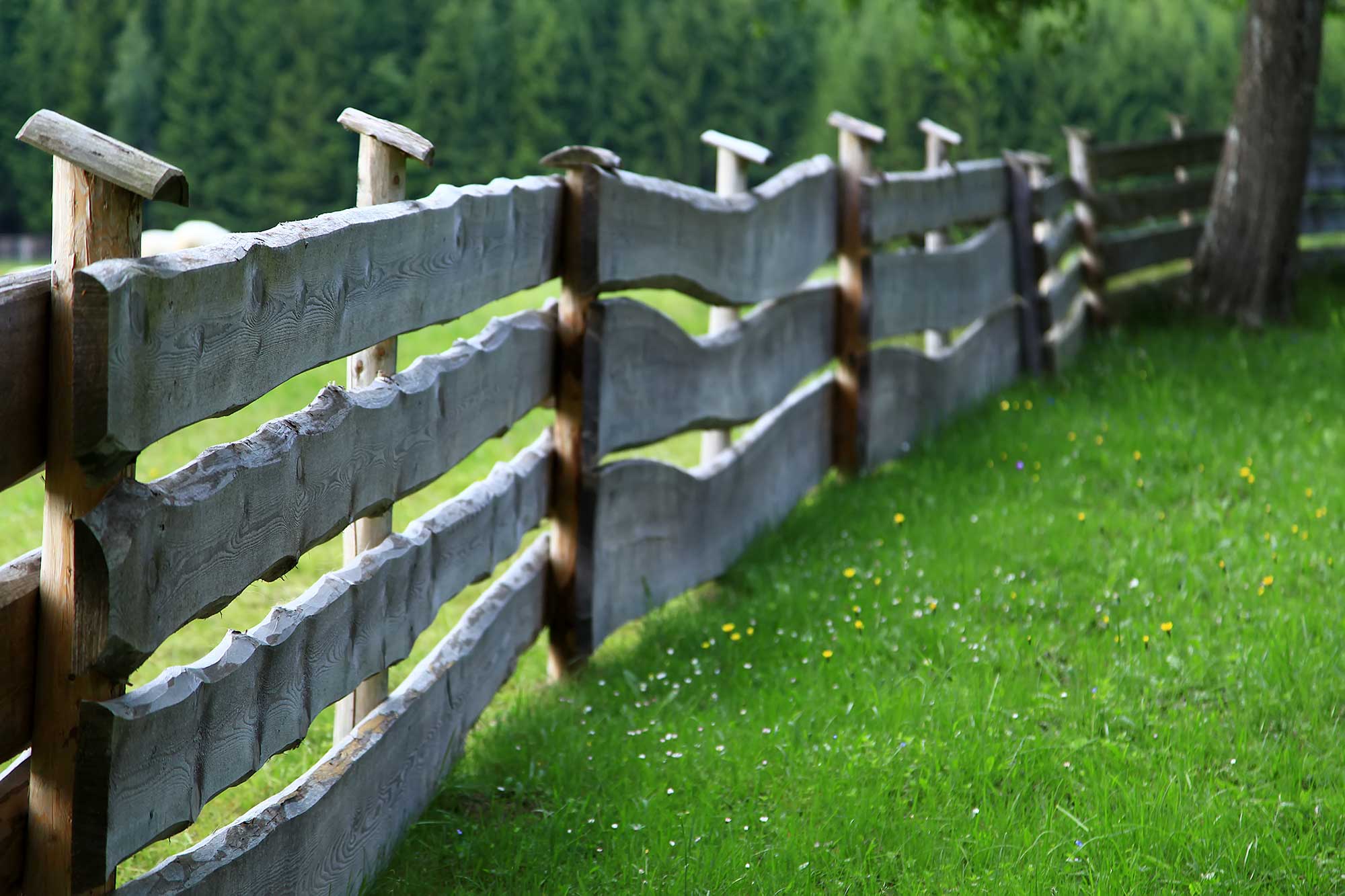 A fence in Goestling, Lower Austria. © Ulli Maier & Nisa Maier