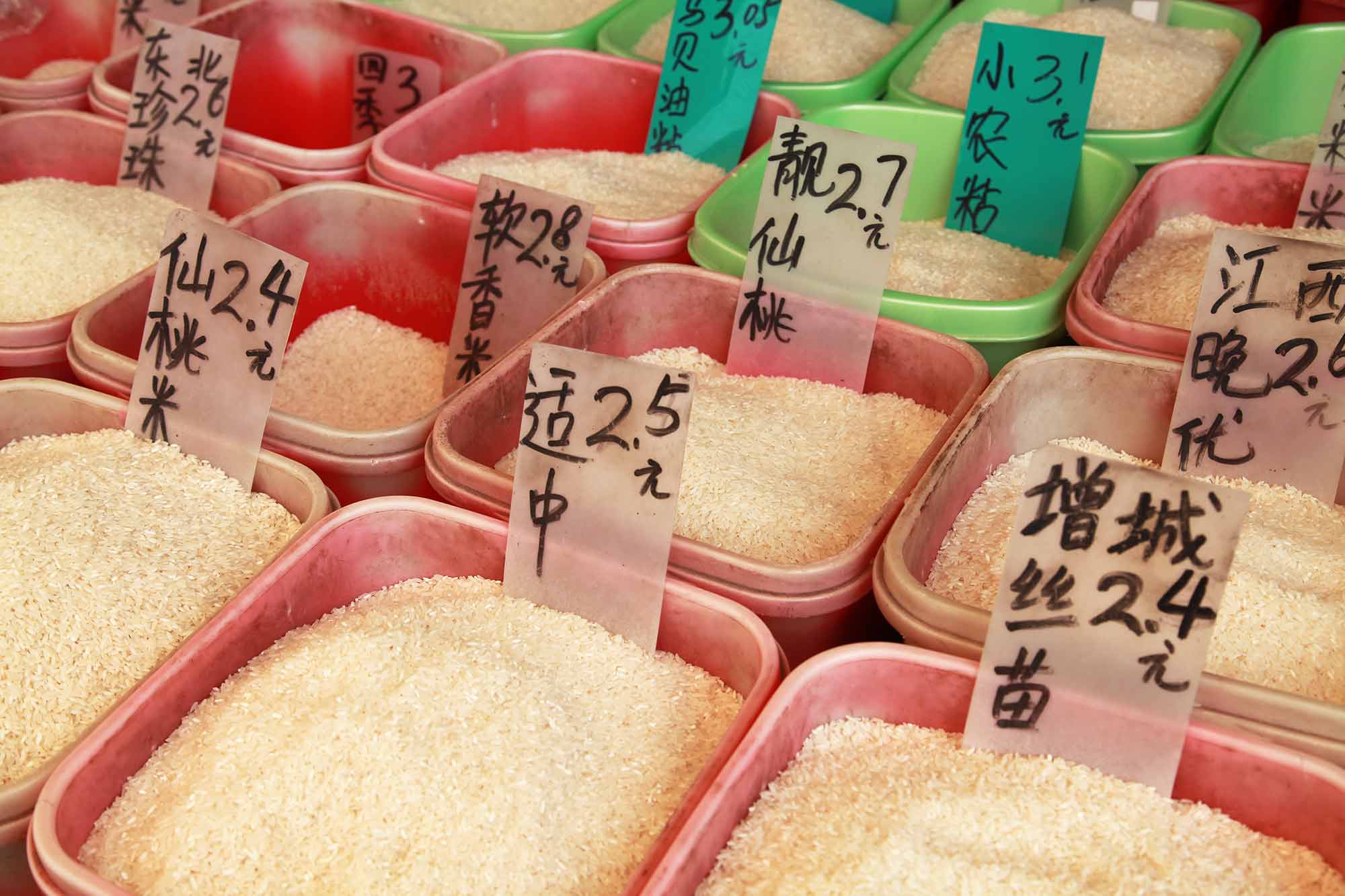 Rice varieties in Guangzhou, China. © Ulli Maier & Nisa Maier
