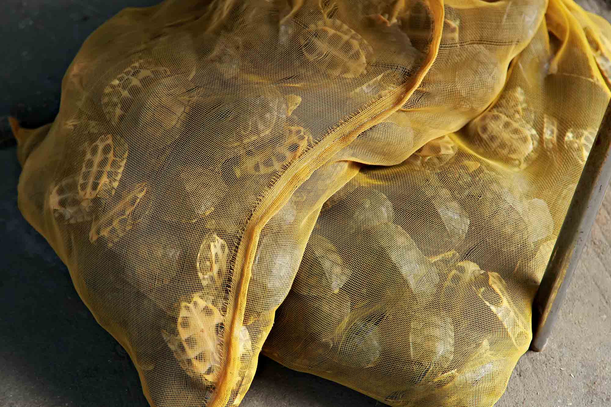 Turtles in a bag at a Chinese animal market. © Ulli Maier & Nisa Maier