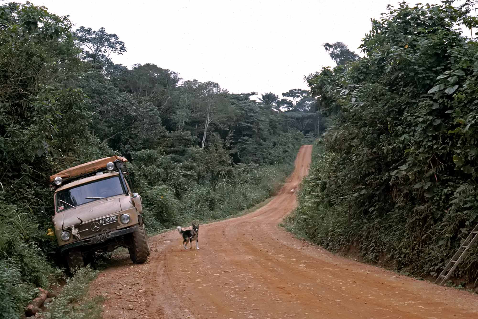 unimog-truck-jungle-congo-zaire-africa