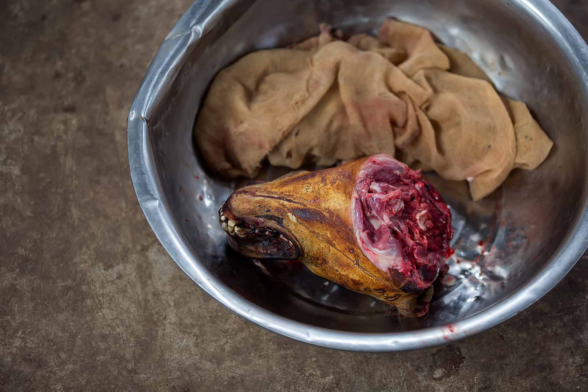 A dead dog at the market in Duoyishu, Yunnan. © Ulli Maier & Nisa Maier