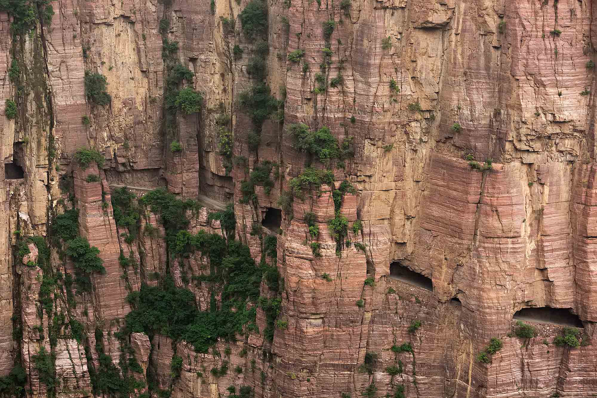 The Guoliang Tunnel Toad in the Taihang Mountains, Henan. © Ulli Maier & Nisa Maier