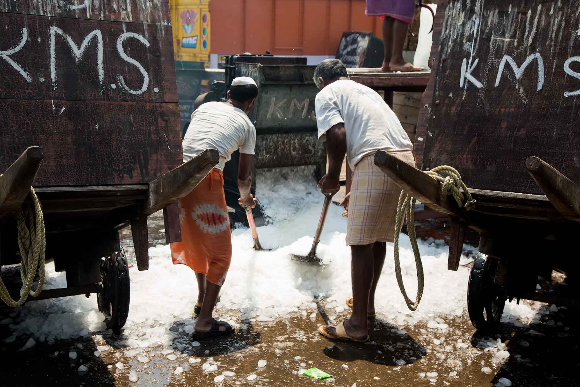 sassoon-dock-fish-market-mumbai-india