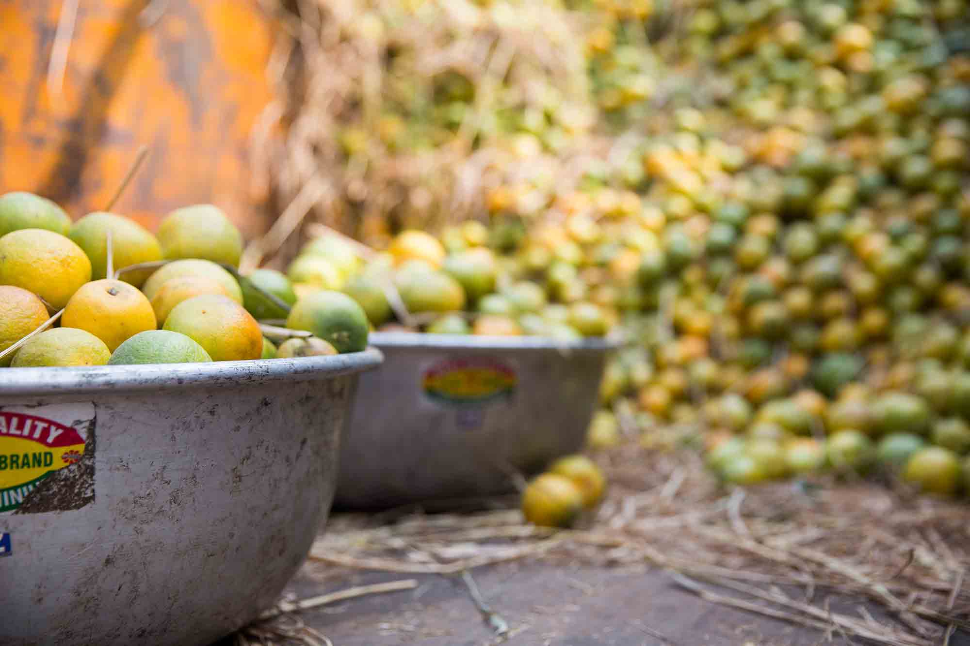 Mechhua-Fruit-Market-oranges-kolkata-india